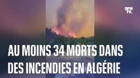 De violents incendies font au moins 34 morts en Algérie  