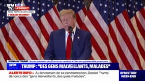 Donald Trump, sur sa condamnation: "Je n'ai pas le droit de parler, on me bâillonne"