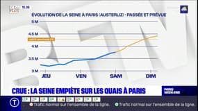 Crue de la Seine en Ile-de-France : le pic est attendu pour ce lundi