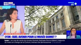 Futur du musée Guimet à Lyon: les options sur la table 