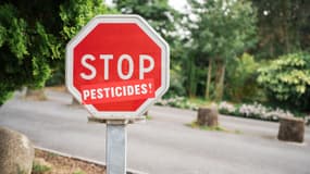 Un panneau "Stop" sur lequel a été collé un sticker "pesticides!", le 15 juillet 2025 à Lille.
