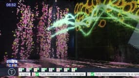 Sortir à Paris : TeamLab, une exposition numérique immersive à la Villette