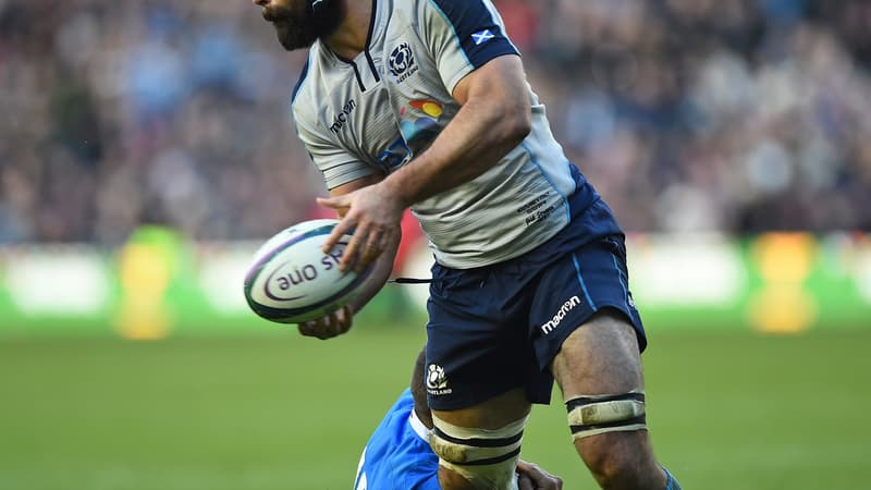 Josh Strauss
