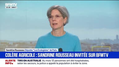 Colère agricole: "Il y a une revendication des agriculteurs à avoir un sens dans leur métier, un respect et une dignité", affirme Sandrine Rousseau