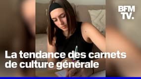  "Ça me permet chaque jour d'aborder un nouveau sujet": c'est quoi la tendance du carnet de culture générale qui cartonne sur Tiktok?