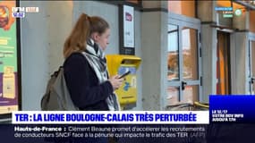 TER: la ligne Boulogne-Calais toujours perturbée, un retour à la normale est prévue dans le courant de l'après-midi