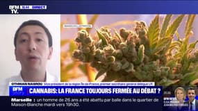Légalisation du cannabis: "Il faut rester ferme (...) légaliser ne fait pas disparaître les trafics", affirme Othman Nasrou (vice-président LR de la région Île-de-France)
