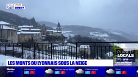 Les Monts du lyonnais sous la neige