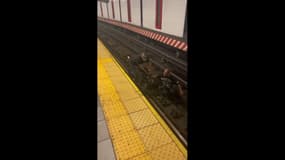 À New York, un homme sauve une personne en fauteuil roulant tombée sur les rails du métro