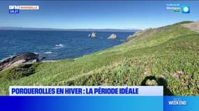 Passions Provence du samedi 1er mars 2025 - Porquerolles en hiver : la période idéale