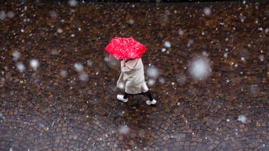 Des flocons de neige à Paris, le 21 novembre 2024 (photo d'illustration)