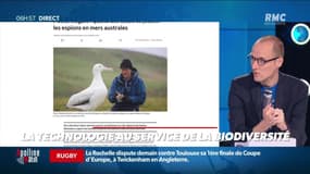 La chronique d'Anthony Morel : La technologie au service de la biodiversité - 21/05