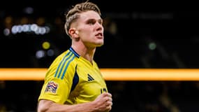 Viktor Gyokeres célèbre un but avec la Suède contre l'Azerbaïdjan en Ligue des nations B, le 19 novembre 2024