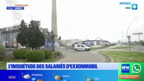 "C'est un véritable gâchis": l'inquiétude des salariés d'Exxonmobil à Port-Jérôme