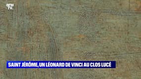 Saint Jérôme, un Léonard de Vinci au Clos Lucé - 11/06