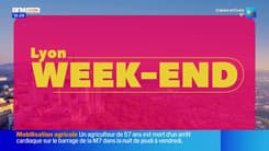 Musées des Beaux-Arts, Paul Mirabel, sport ... Découvrez les sorties à faire dans Lyon week-end