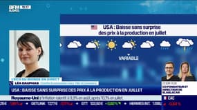 Léa Dauphas (TAC Economics) : Baisse sans surprise des prix à la production en juillet aux États-Unis - 14/09