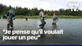 Un grizzli charge la mascotte de l'équipe de hockey sur glace des Seattle Kraken