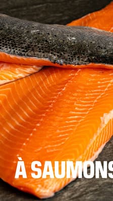 La plus grande ferme à saumons d'Europe