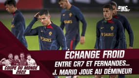 Coupe du monde : retrouvailles fraîches entre Fernandes et CR7... J. Mario évoque "une vanne entre eux"