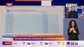 Chèque énergie : "Son versement n'est plus automatique (...). Il faut faire la démarche soi-même"