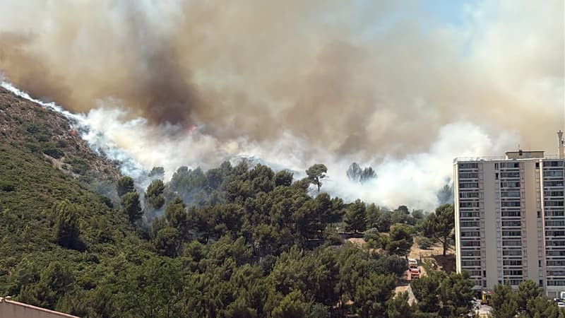 Douze hectares brûlés dans un incendie à l'est de Marseille, le feu est désormais fixé