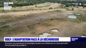 L'adaptation des golfs du nord de la France face à la sécheresse
