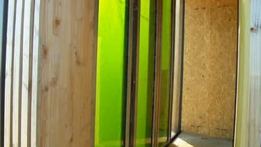 Dans cette bio-façade le consortium mené par le cabinet d'architectes X-TU Research teste la culture de micro-algues en milieu fermé et de façon verticale de façon à réduire la consommation d'eau et d'énergie.