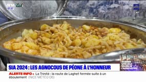 Salon de l'agriculture: les agnocous de Péone à l'honneur sur le stand des Alpes-Maritimes