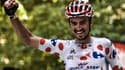 Alaphilippe