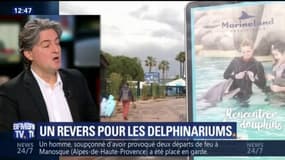"Les dauphins ont des besoins qui ne peuvent pas être satisfaits dans des bassins"