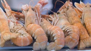 Tous les week-ends, découvrez un produit frais de nos régions et de la gastronomie française. Ce dimanche: la langoustine.