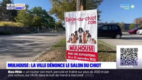 Mulhouse: la ville dénonce le salon du chiot