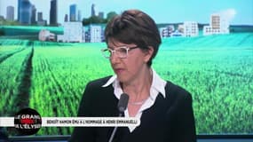 "La primaire à gauche est une escroquerie dégueulasse" aux yeux de Zohra Bitan
