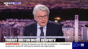 Guerre en Ukraine: "Le plus naïf, c'est Donald Trump", affirme Thierry Breton, ancien commissaire européen au Marché intérieur et ancien ministre de l'Economie 