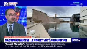 Marseille: l'opposition contre le projet de piscine naturelle au pied du Mucem