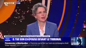 Féminicide à Montpellier: "L'État français ne protège pas les femmes", affirme la députée écologiste Sandrine Rousseau