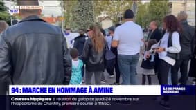 Val-de-Marne: une marche en hommage à Amine