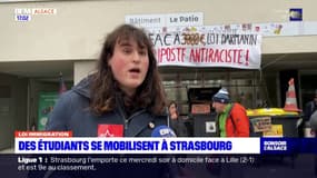 Strasbourg: des étudiants se mobilisent contre la loi immigration 