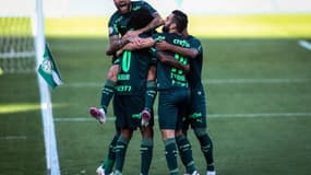 Palmeiras