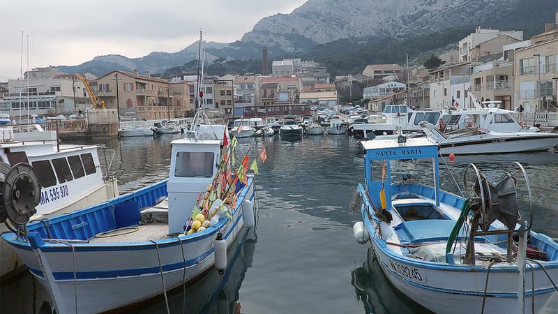 Vue du port de la Madrague, à Marseille, où vivait Florence Arthaud.