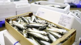 Des poissonniers condamnés pour avoir fait payer 42.000 euros de poisson à une nonagénaire malade
