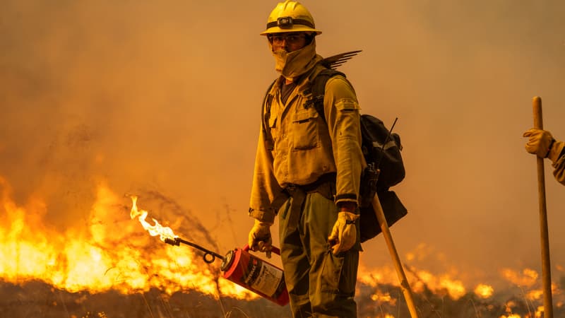 Regarder la vidéo 1500 km² brûlés, plus de 5000 pompiers mobilisés: les chiffres fous du mégafeu qui sévit en Californie
