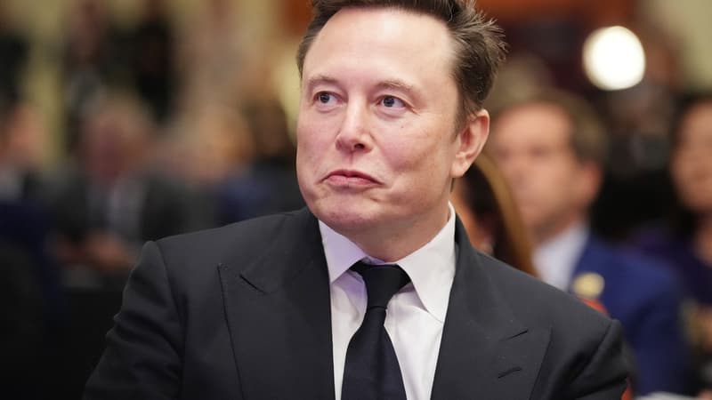 Elon Musk, le 13 novembre 2024
