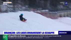 Briançon: les luges envahissent le parc de la Schappe