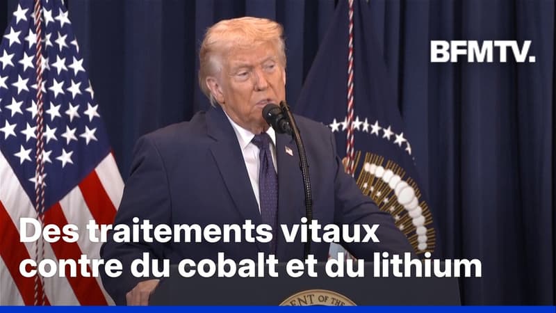 États-Unis: c’est quoi ce deal polémique que Donald Trump envisage de passer avec la Zambie?