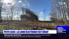 Petit-Caux: la ligne électrique fait débat