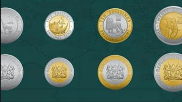Les nouveaux Schillings kényans