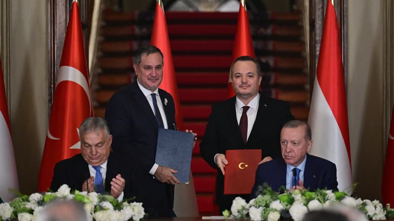 Proche du pouvoir, cette entreprise hongroise à la croissance fulgurante a vu son action chuter de 50% en 5 mois (le signe que Viktor Orban va perdre les élections, selon les investisseurs)