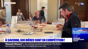 500 bières sont en compétition jusqu'à vendredi à Saverne